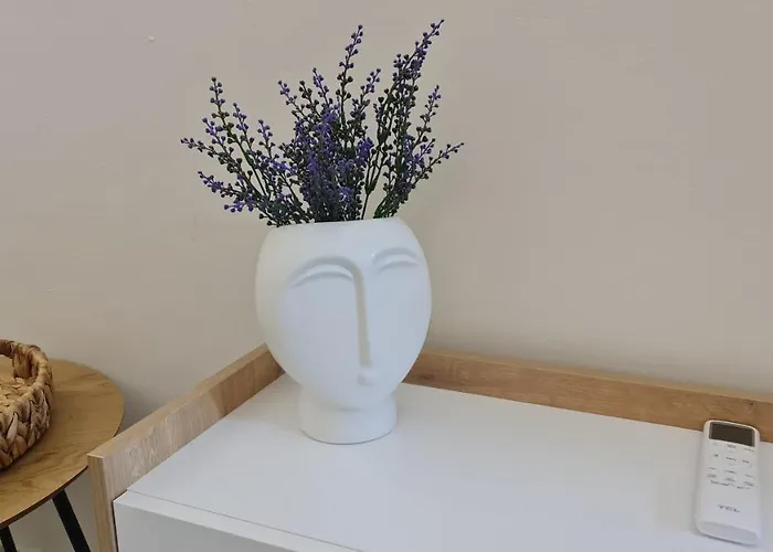 Dori's Wilson At Blloku Neighborhood *