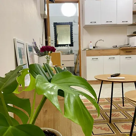 Dori's Wilson At Blloku Neighborhood Appartamento