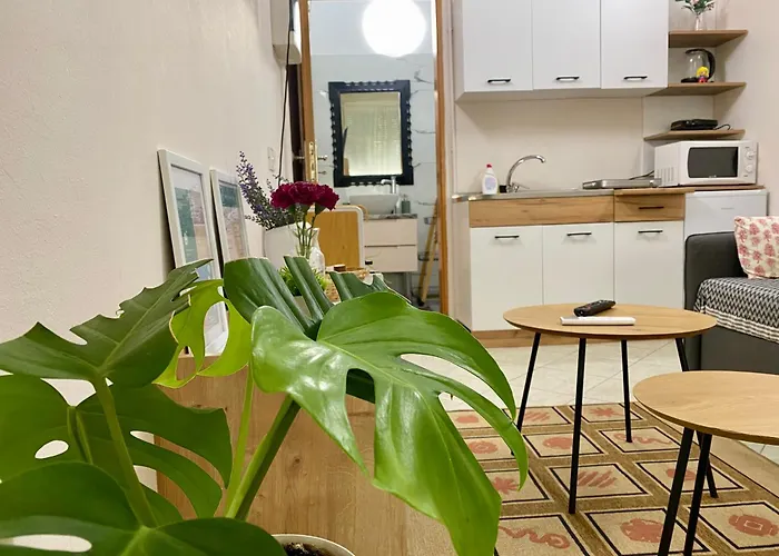 Dori's Wilson At Blloku Neighborhood Apartment